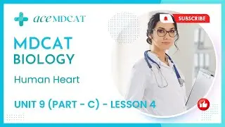 MDCAT Preparation Biology Lectures 2023 | 4 Human Heart | Ace MDCAT
