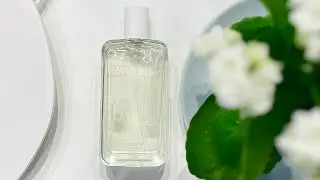 27 87 Per Se #2787#perse#newfragrance#fragrances2024