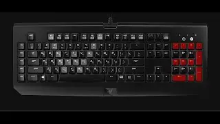 Логотип WARFACE и BLACKWOOD на Razer BlackWidow Chroma 2015