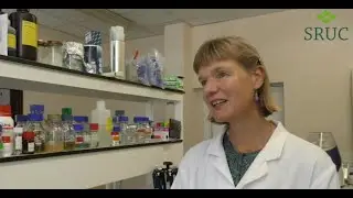 Safe and Improved Food Challenge Centre