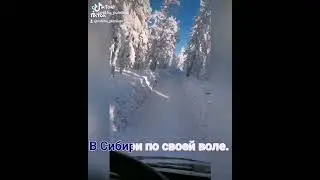 В Сибири по своей воле.