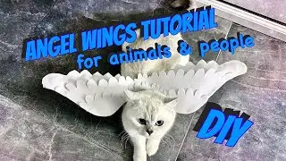 КРЫЛЬЯ АНГЕЛА ИЗ ФЕТРА ☆ Для кошек, собак и людей ☆