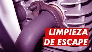 Debes limpiar tu ESCAPE por esto. ¡QUEDÓ JOYA!