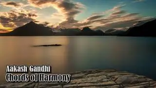 Aakash Gandhi - Chords of Harmony