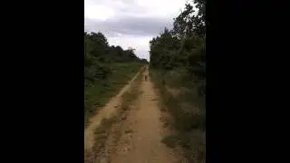 20120617 174710