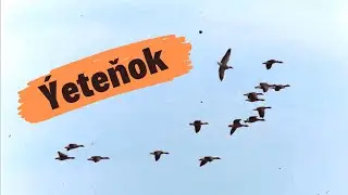 NzS(Ti-em) ft Hemraly - Ýeteňok