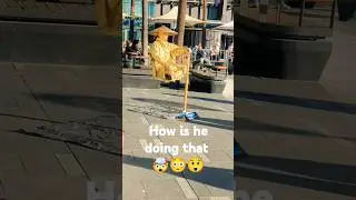 WOW! 