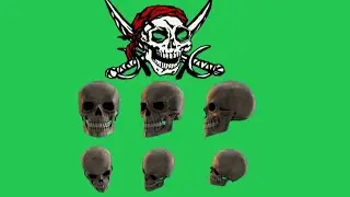 Skull Bones Spooky Halloween green background chroma Key video