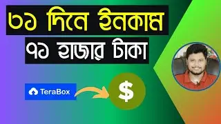 ৩১ দিনে ইনকাম ৭১ হাজার টাকা | TeraBox Secret Earning Tricks Full Course | SR Likhon