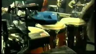 Аквариум -Таможенный блюз