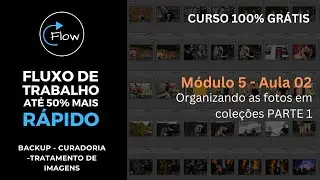 Como organizar as fotos em coleções no Lightroom / Módulo 05 Aula 02