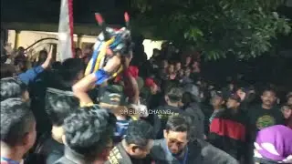 Banteng Suro MBEROT!!! New Suryo WIJOYO TERBARU