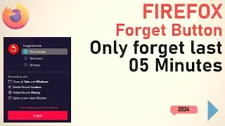 Firefox Forget Button - Erase History of last 5 mins only