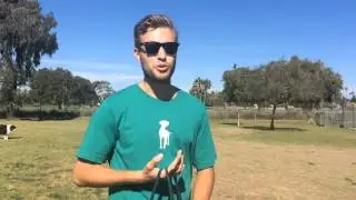 A Healthy Spot at the Seal Beach Dog Park