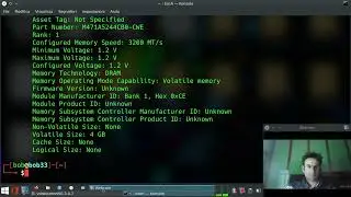 RAM check of LINUX PC