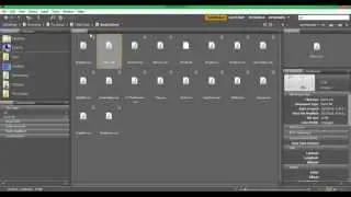 ADOBE BRIDGE PROBLEM