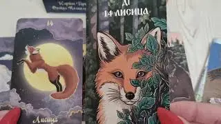 Slavic Oracle. Oracle of the Sun. Tarot of the Sun.