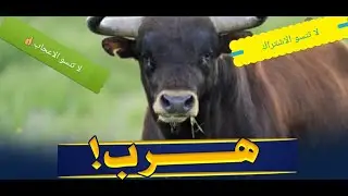 تور الرباط اليوم الجزء 1