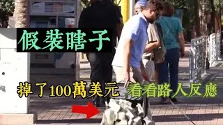 假裝瞎子掉了100萬美元，看看路人的反應 | 一些善良的路人立即上前告知，并帮助他捡起散落的钞票 | 而另一些路人则趁机将部分钱塞进自己的口袋