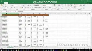 How to insert serial numbering in Excel
