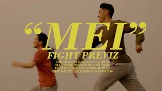 "MEI" Fight Previz Comparison