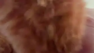 …