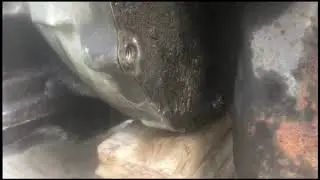 Scout ii 5 9 to 408   Day2   Eng Trans Split