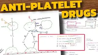 Anti-Platelet Drugs Pharmacology | COX Inhibitors | P2Y12 Receptor Blockers | Aspirin | Clopidogrel