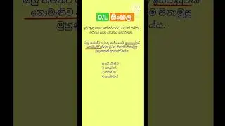 O/L සිංහල Revision 🧠|02| #mcq #ol #සිංහල #සාමාන්යපෙළ #olexam #ordinarylevel #pastpaper