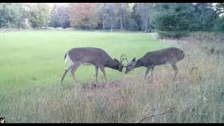 Up North Journal - Talking About Food Plots with Robie Pruitt of Antler King
