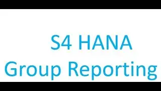 SAP S4 HANA Group Reporting Video