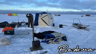 🎣Вежма.Унская губа.Белого моря.Февраль 2023г 
