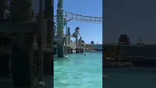 It is great to spend the day at Disney’s private island, 