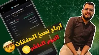 اليوم الـ 10 من متابعة ارباح نسخ المتداولين في باي بت | الربح من التداول