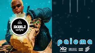 'PALOMA' TERRI X STARBOY X BELLA SHMURDA X RUNTOWN TYPE BEAT