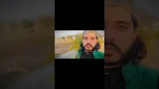 نومونه ئي نا اخلم زما د میکدې یاران ؤ | پښتو شعرونه | #Shorts #youtubeshorts #poetry