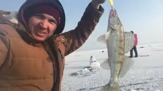 Зимняя рыбалка на Капчагае 2023. Голубой залив. Коса. Вобла. Конаев. Глухих.