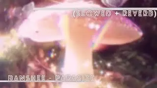 ' Banshee - Parasite (Slowed + Reverb)