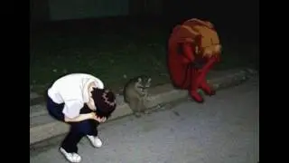 shajmaaaaa