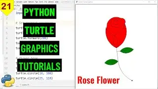 Draw Rose Flower 🌹 with Python Turtle | Python Turtle Graphics Tutorial #21