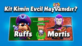BRAWL STARS QUIZ! (99999% IMPOSSIBLE)