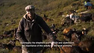 Experiência na serra - Mountain experience