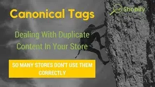 Duplicate Content On Shopify Stores - Using Canonicals & NoIndex