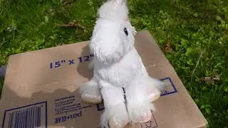 A Webkinz Package Full of Surprises