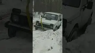 белая нива