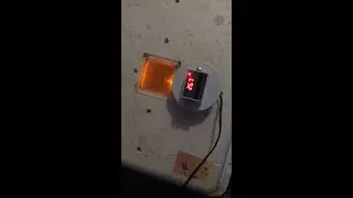XH-W3001 в инкубатор Несушка