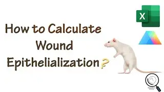 How to calculate Epithelialization in wound healing study