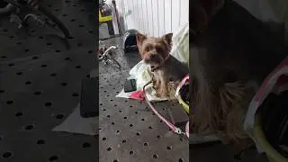 Ремонт топливного бака фуры Volvo 
