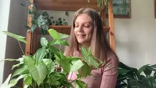 Начало 🌱 коллекции | Май 2023 | Комнатные растения 🪴