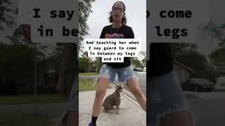 Teach Your Dog The "Guard" Command! FOR ALL DOG BREEDS!